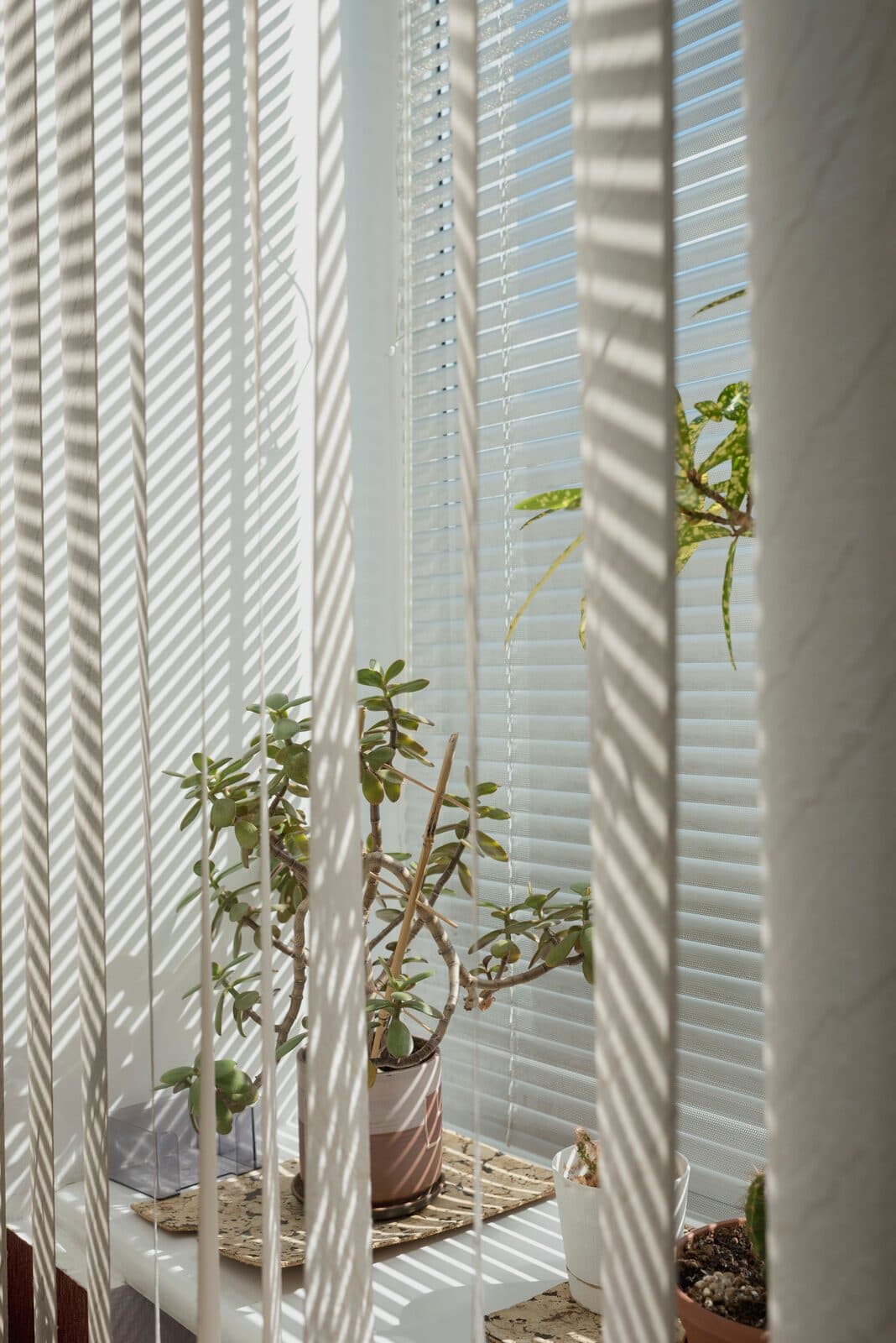 Vertical blinds for a Dubai office