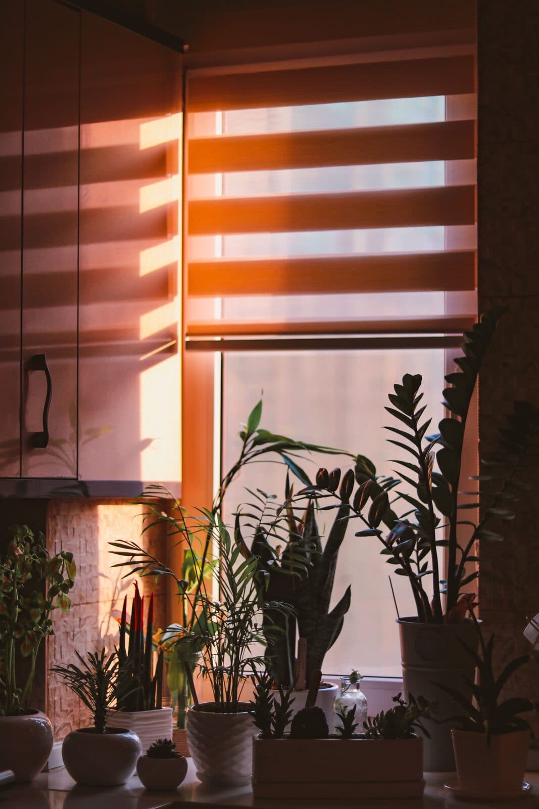 Zebra dual blinds in a Dubai apartment