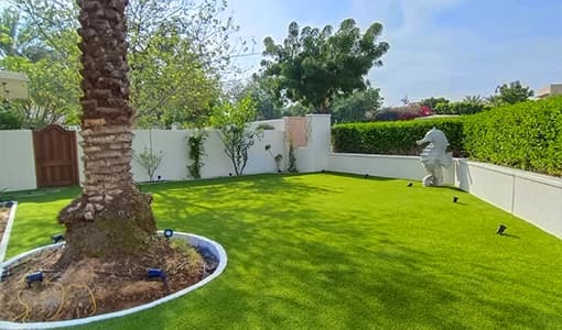 After, Villa lawn transformation, Landscaping grass before and after, Arabian Ranches