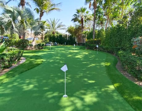 Garden putting green beside palm trees - Putting greens, Dubai