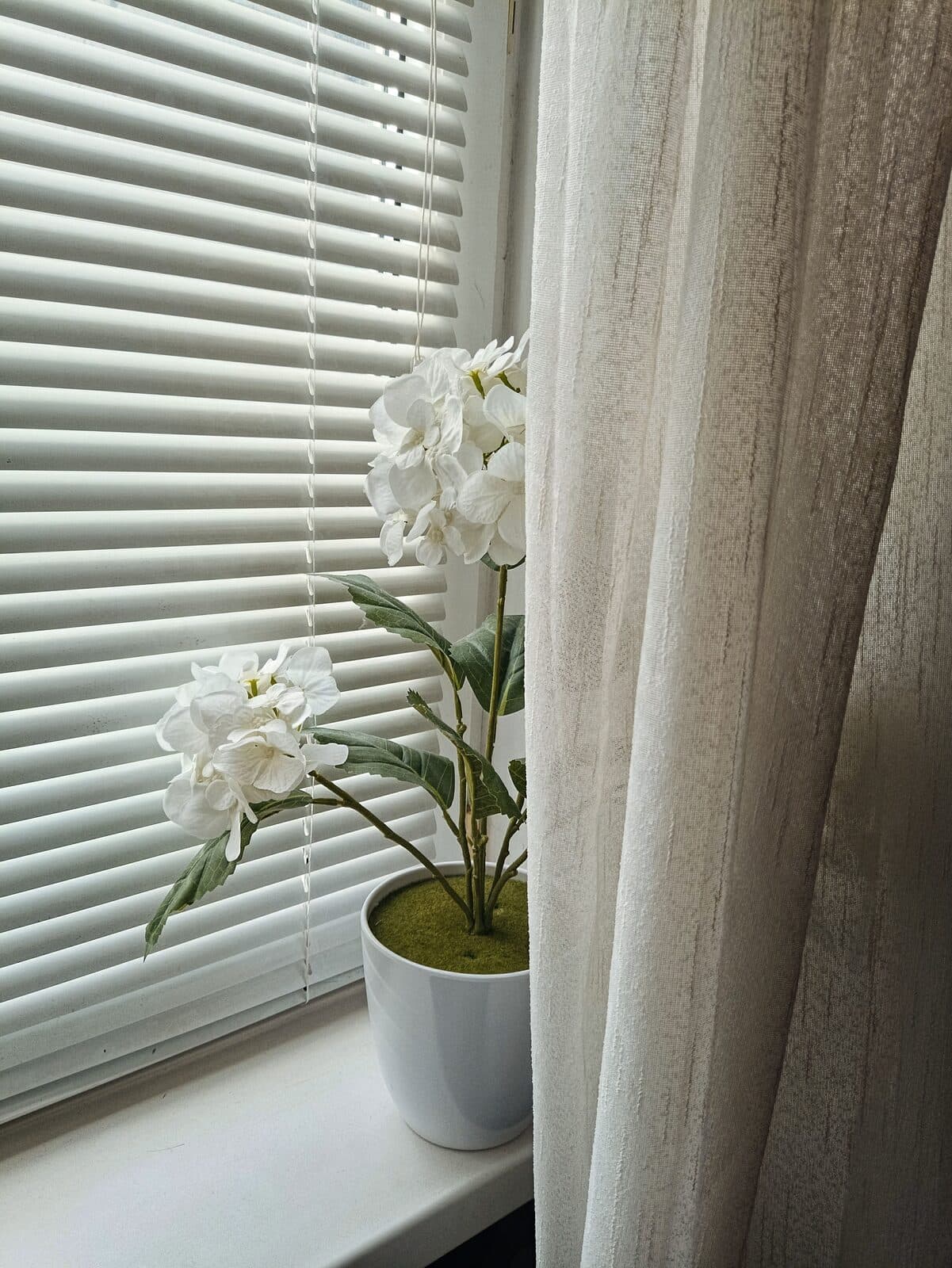 Measure windows - Free visit